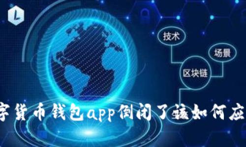 数字货币钱包app倒闭了该如何应对?