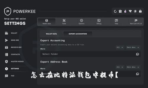 怎么在比特派钱包中提币?