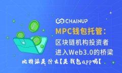 比特派是什么？是钱包app吗？