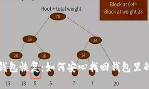 数字货币钱包恢复:如何安心找回钱包里的数字资产