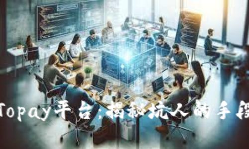 Topay平台:揭秘坑人的手段