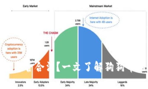 狗狗币交易是否合法?一文了解狗狗币的法律风险