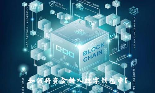 如何将资金转入数字钱包中?