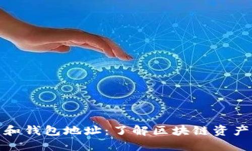 区块链私钥和钱包地址:了解区块链资产安全的关键