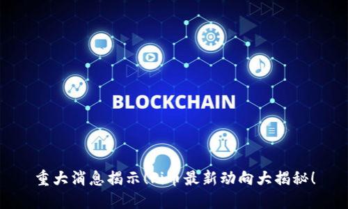 重大消息揭示！Pi币最新动向大揭秘！