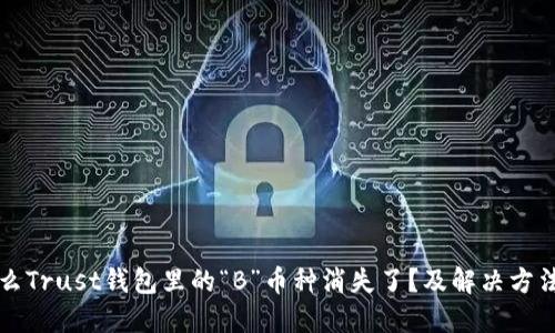 为什么Trust钱包里的“B”币种消失了?及解决方法详解