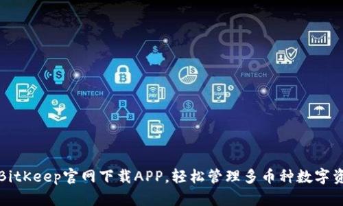 从BitKeep官网下载APP,轻松管理多币种数字资产