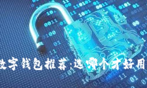 数字钱包推荐:选哪个才好用?