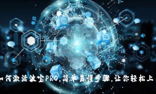 如何激活波宝PRO,简单易懂步骤,让你轻松上手
