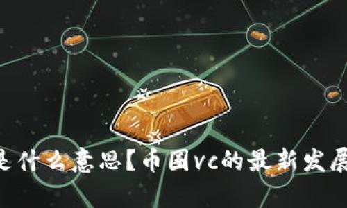 币圈vc是什么意思?币圈vc的最新发展与分析。