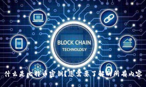 什么是比特币密钥？您需要了解的所有内容