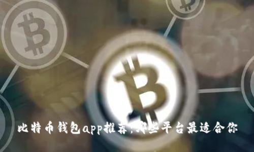 比特币钱包app推荐：哪些平台最适合你