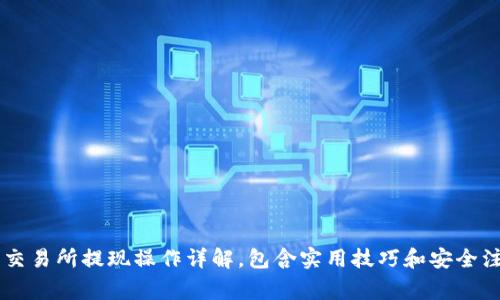 Crypto交易所提现操作详解,包含实用技巧和安全注意事项