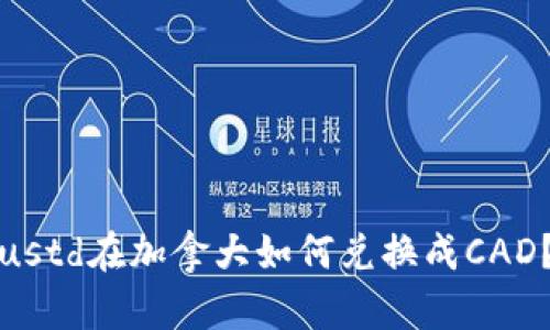 ustd在加拿大如何兑换成CAD?