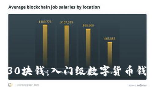 数字钱包30块钱:入门级数字货币钱包的选择
