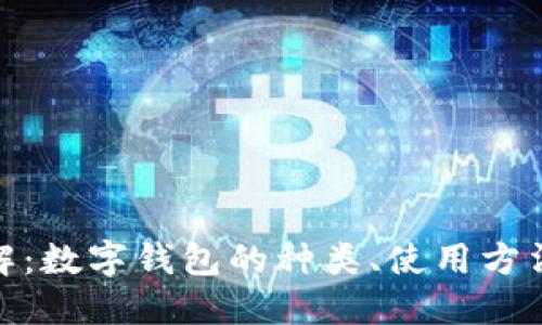 数字钱包详解:数字钱包的种类、使用方法及风险管控