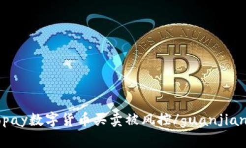gopay数字货币买卖被风控/guanjianci