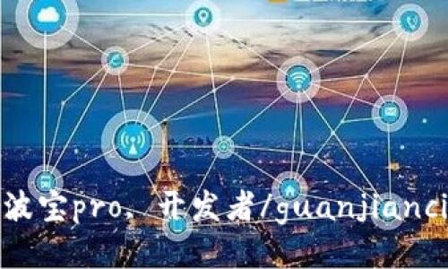 波宝pro, 开发者/guanjianci