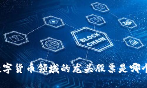 数字货币领域的龙头股票是哪个？
