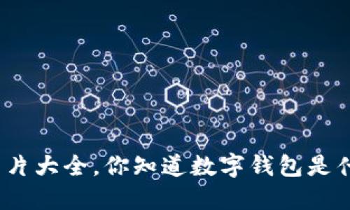 数字钱包图片大全,你知道数字钱包是什么样子吗?