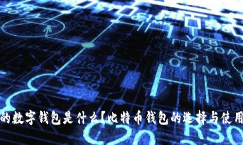 最好的数字钱包是什么?比特币钱包的选择与使用指南