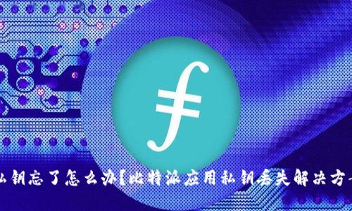 私钥忘了怎么办?比特派应用私钥丢失解决方案
