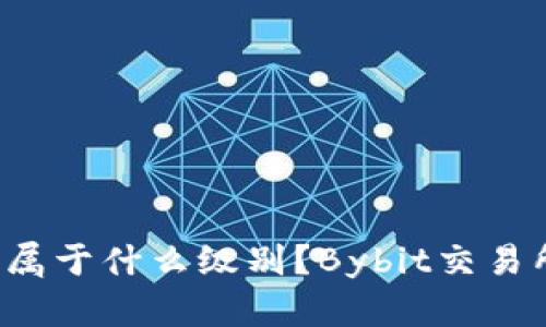 Bybit在币圈属于什么级别?Bybit交易所优缺点分析