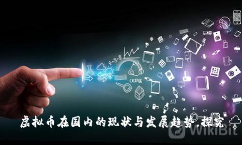 虚拟币在国内的现状与发展趋势,探究