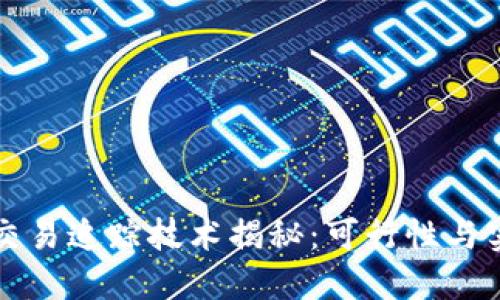 虚拟币交易追踪技术揭秘:可行性与实践探讨