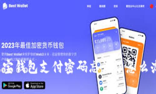波宝钱包支付密码忘记了怎么办?