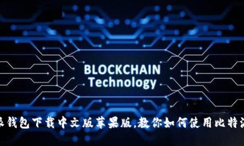比特派钱包下载中文版苹果版,教你如何使用比特派钱包