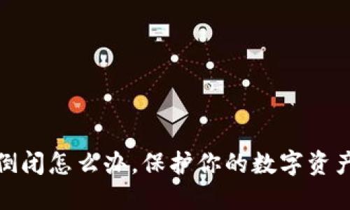 加密钱包倒闭怎么办,保护你的数字资产不被损失