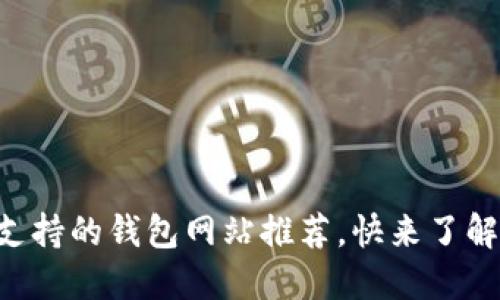 中文支持的钱包网站推荐,快来了解一下!