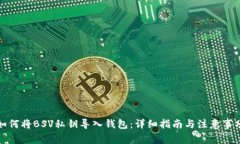 如何将BSV私钥导入钱包：详细指南与注意事项