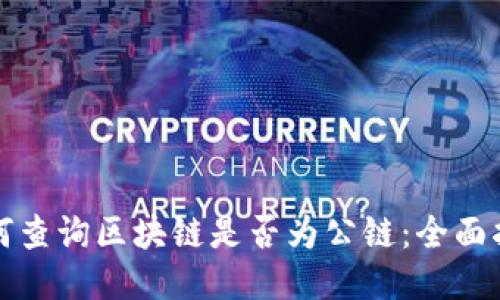 如何查询区块链是否为公链：全面指南