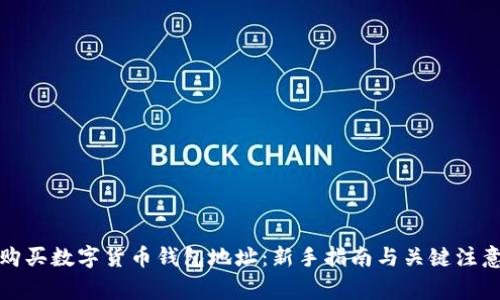 如何购买数字货币钱包地址：新手指南与关键注意事项