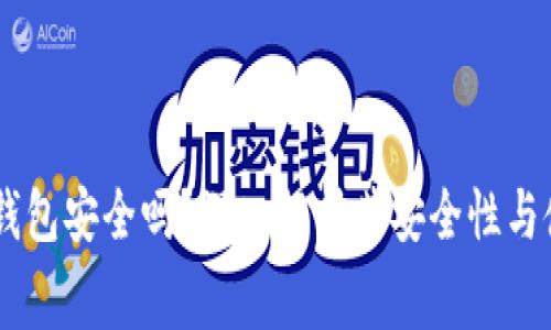 Ledger硬件钱包安全吗?深入解析其安全性与使用注意事项