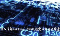 深入了解Tokenim BUSD：稳定币的未来前景