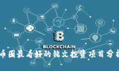 币圈最看好的铭文投资项目分析