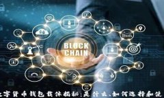 数字货币钱包载体揭秘：是什么、如何选择和使