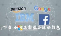 虚拟币PAY钱包app下载：如何选择最合适的钱包进