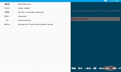 2023年世界排名前十的虚拟币全解析：投资机会与风险分析