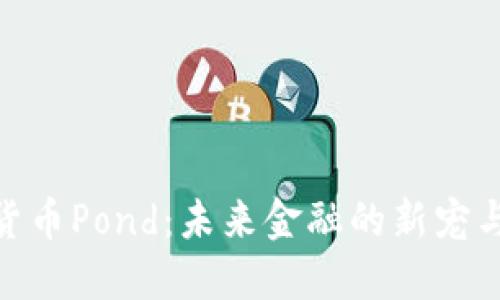 数字货币Pond：未来金融的新宠与机遇
