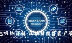 MetaMask钱包网络详解：区块链数字资产管理的必备