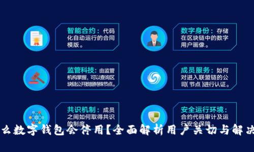 为什么数字钱包会停用？全面解析用户关切与解决方案