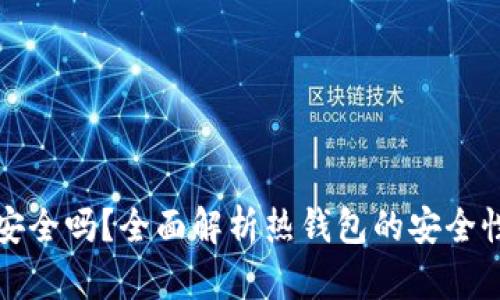 热钱包安全吗？全面解析热钱包的安全性与风险
