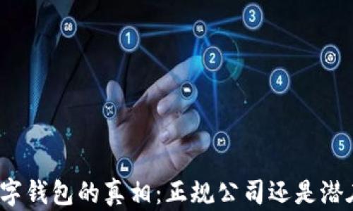 
揭开数字钱包的真相：正规公司还是潜在风险？