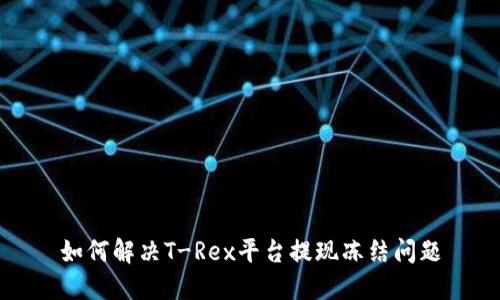 如何解决T-Rex平台提现冻结问题