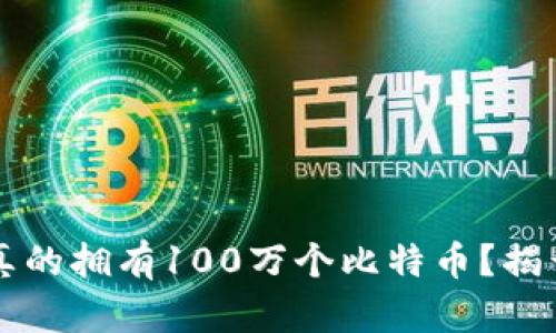中本聪是否真的拥有100万个比特币？揭开真相的迷雾