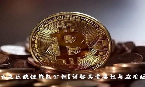 什么是区块链钱包公钥？详解其重要性与应用场景